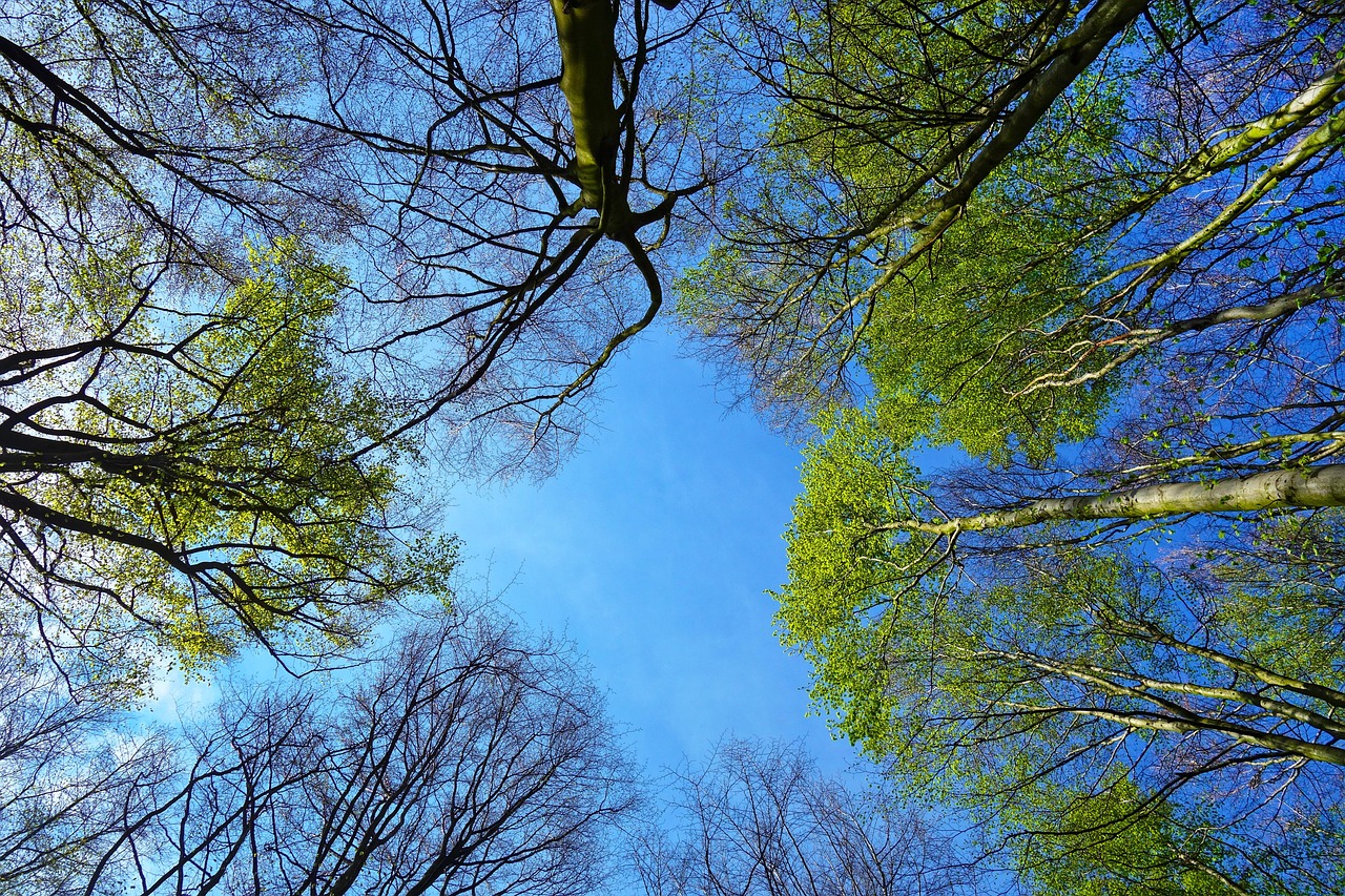 プレワークアウトとは何か、その効果や使い方は？