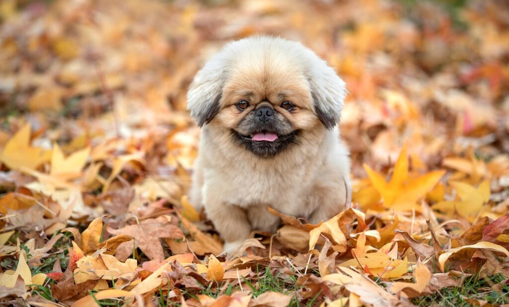 プロテインバーを使った筋トレに最適な食べ方は？