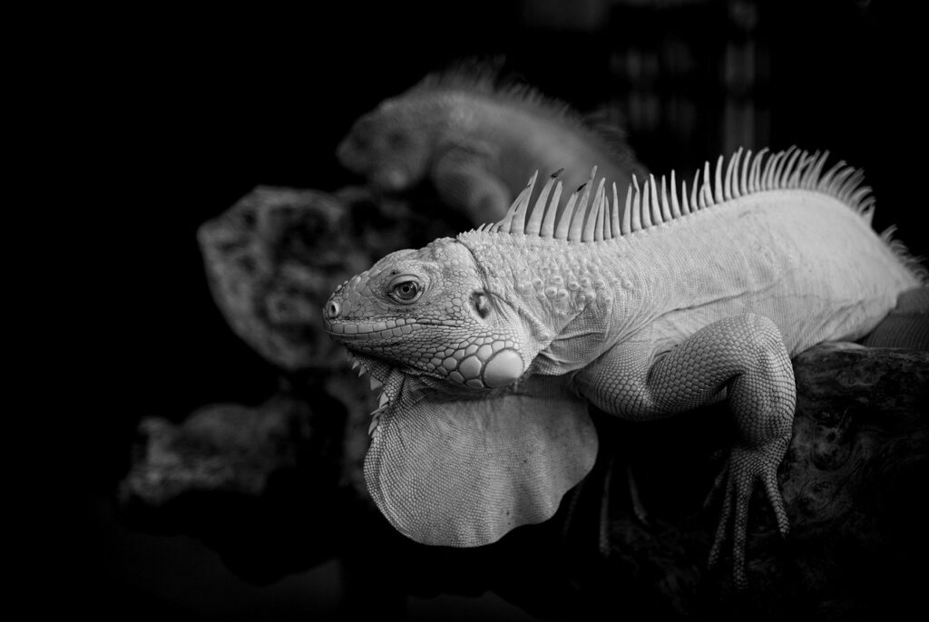 プレワークアウトに必要な栄養素とは？