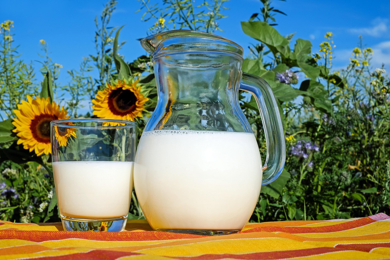 筋トレ後に牛乳を飲むメリットとおすすめの理由は？