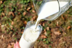 筋トレ後に牛乳を飲む効果とおすすめの飲み方は？