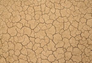 筋トレ中の脱水を予防するための方法は？