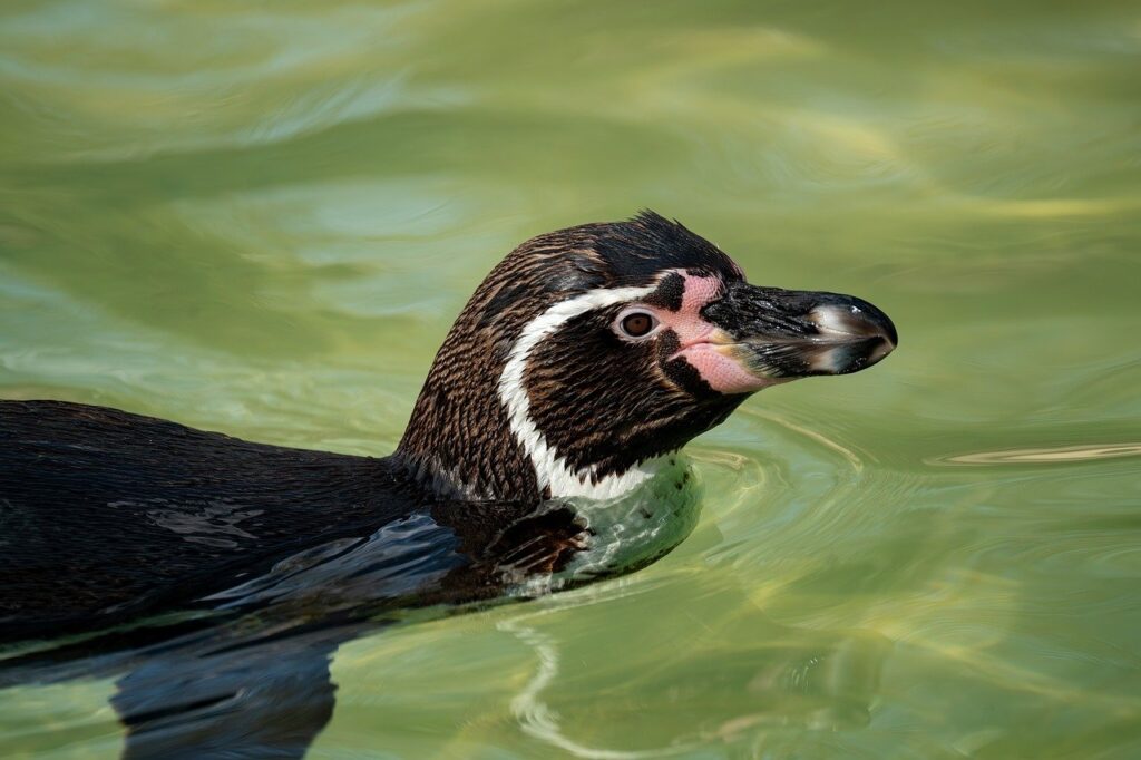 筋トレ後に食べないことがもたらす危険とは？