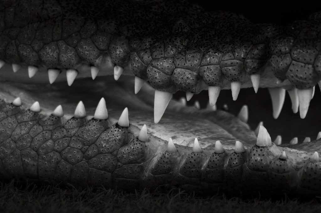 プロテインを食事代わりにすることの危険性とは？