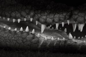 プロテインを食事代わりにすることの危険性とは？