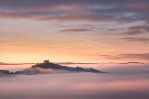 筋トレの成果を早く出すために必要な食事は？