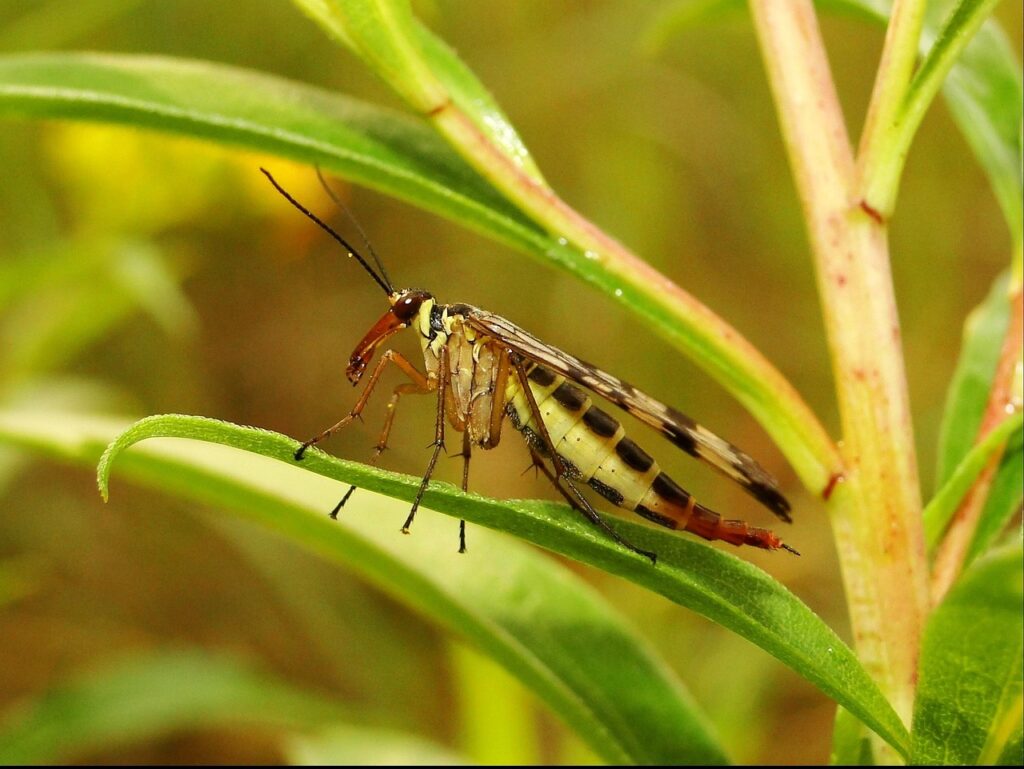 プロテイン無添加を選ぶおすすめの理由とは？