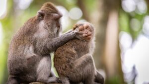 プロテインを継続するための前提とは？
